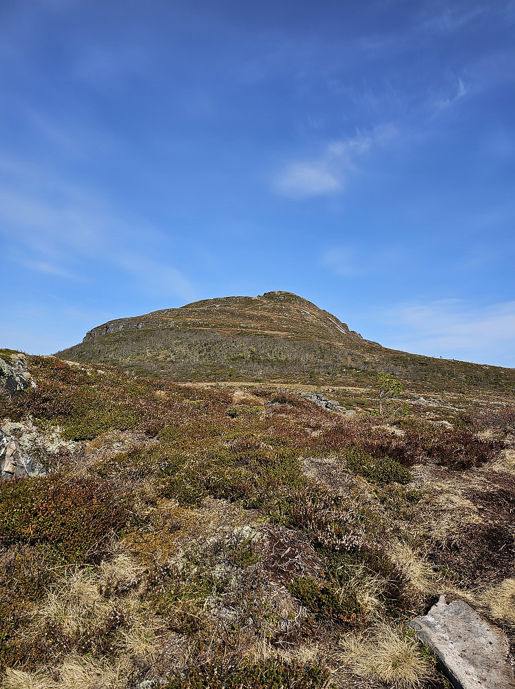Hennafjellet