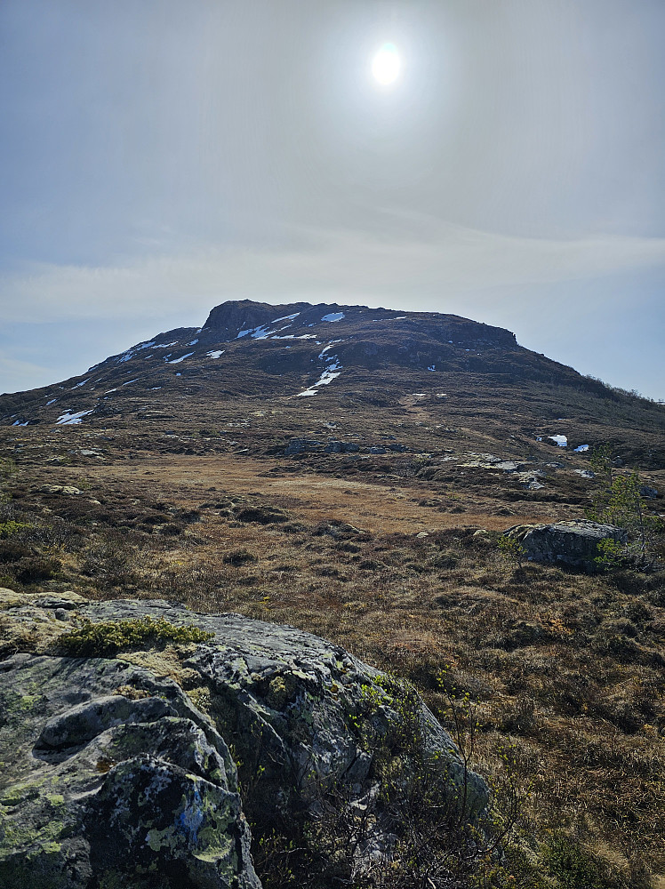 Nonsfjellet mot Tindan