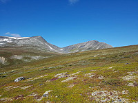 Gabrielsen68_20240507_663a0c8a83e6f.jpg