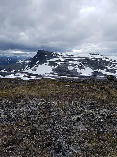 Blåhø fra Svarthamran