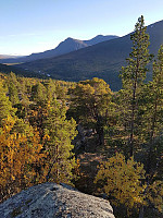 Gabrielsen68_20240507_663a122fdf710.jpg