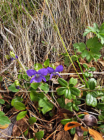 Gabrielsen68_20240521_664c3b13e9344.jpg