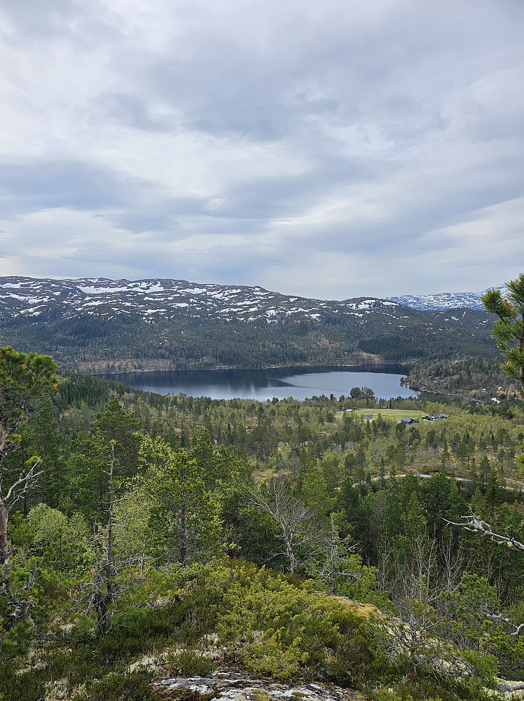 Frilsjøen