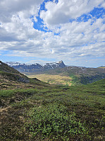 Gabrielsen68_20240521_664c3c31b359f.jpg