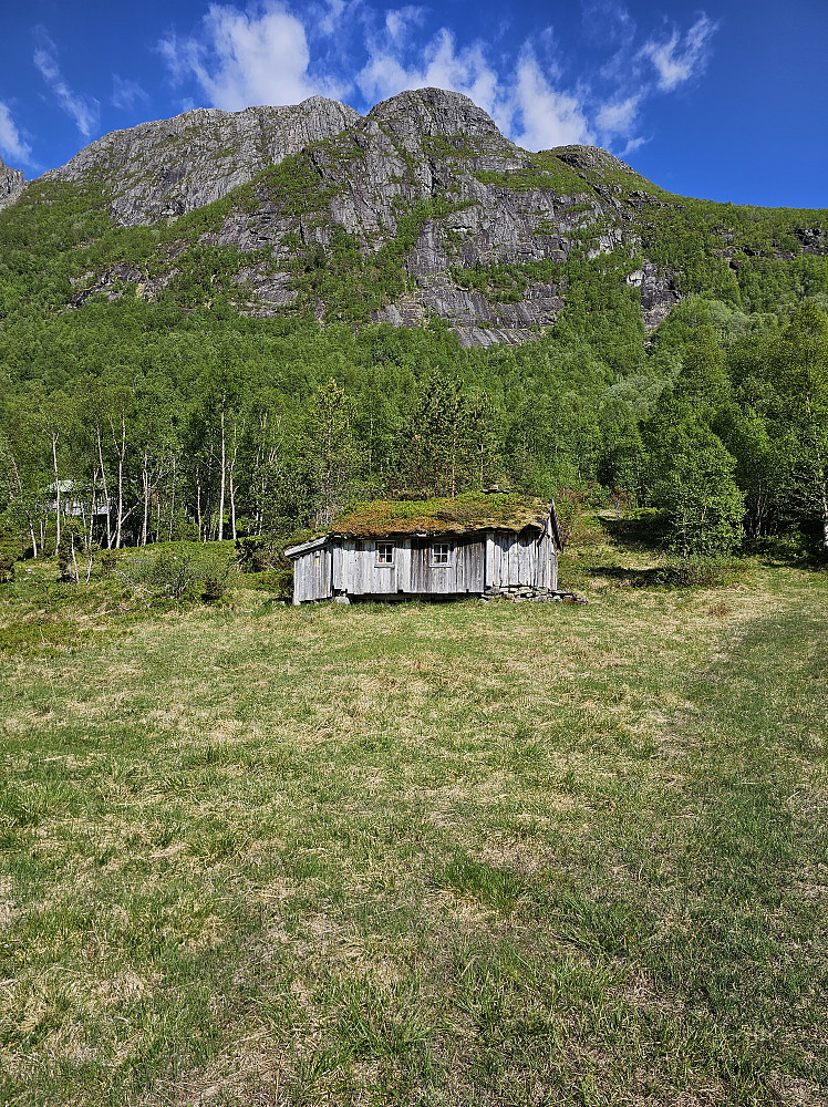 Gammelsætra