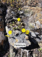 Gabrielsen68_20240521_664c43ab09ece.jpg