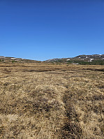 Gabrielsen68_20240527_665427b64570f.jpg