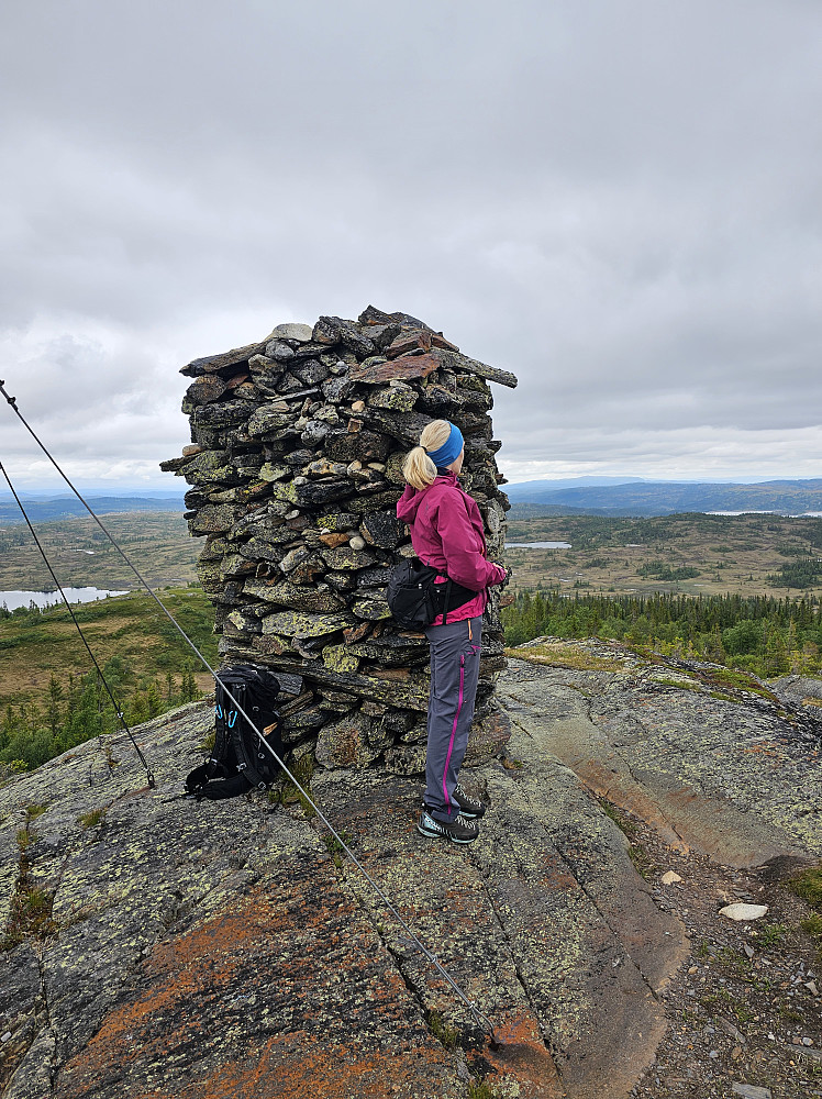 Stor varde på Svartfjellknippen