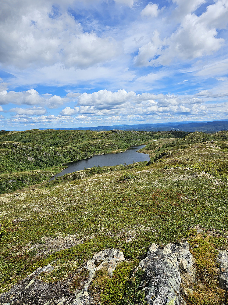 Merratjønna fra Høgneset