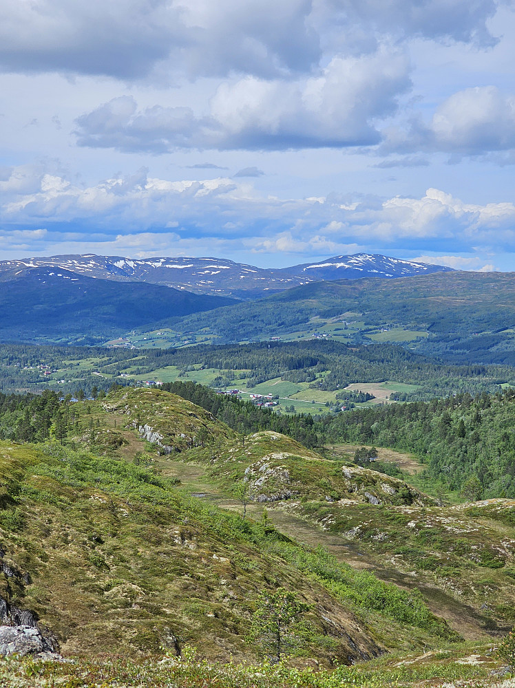 Ruten og Dompa