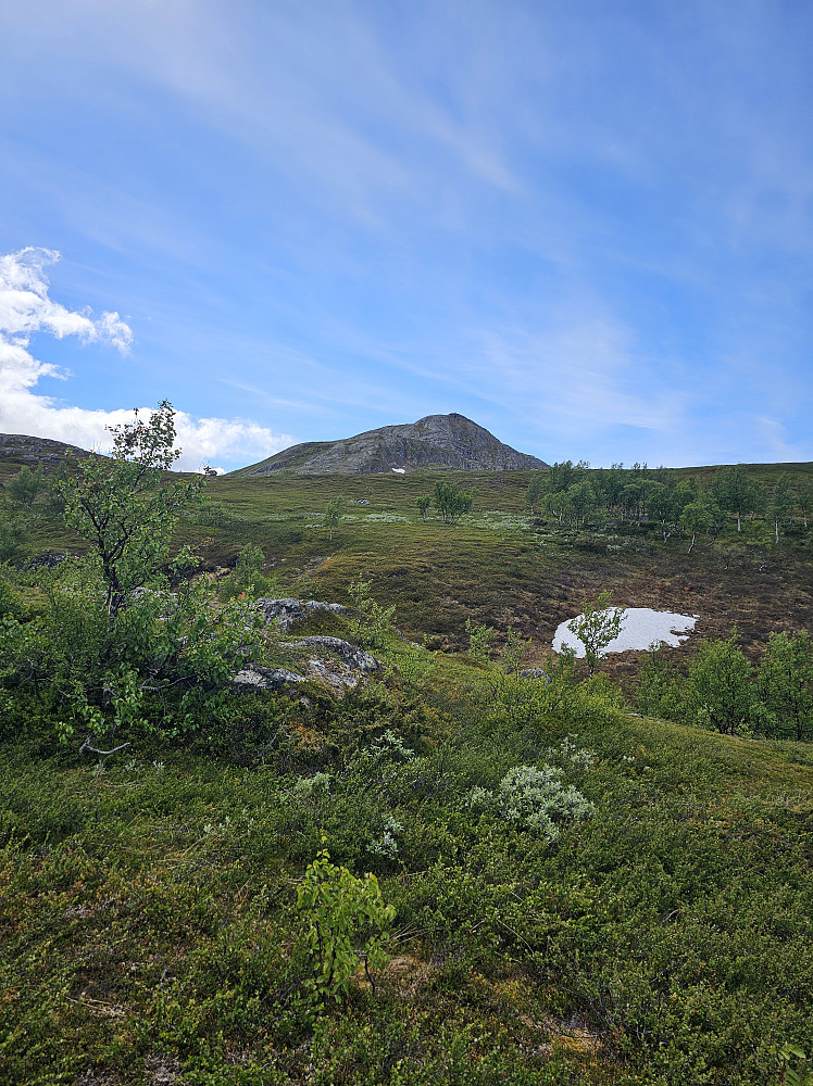 Duggurdsknappen
