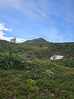 Gabrielsen68_20240624_66790e740b1f8.jpg