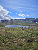 Gabrielsen68_20240624_66790e765b8a0.jpg