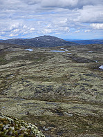 Gabrielsen68_20240624_66792660d724c.jpg