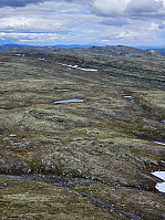 Gabrielsen68_20240624_66792663b4c52.jpg