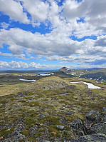Gabrielsen68_20240624_6679266af1d66.jpg