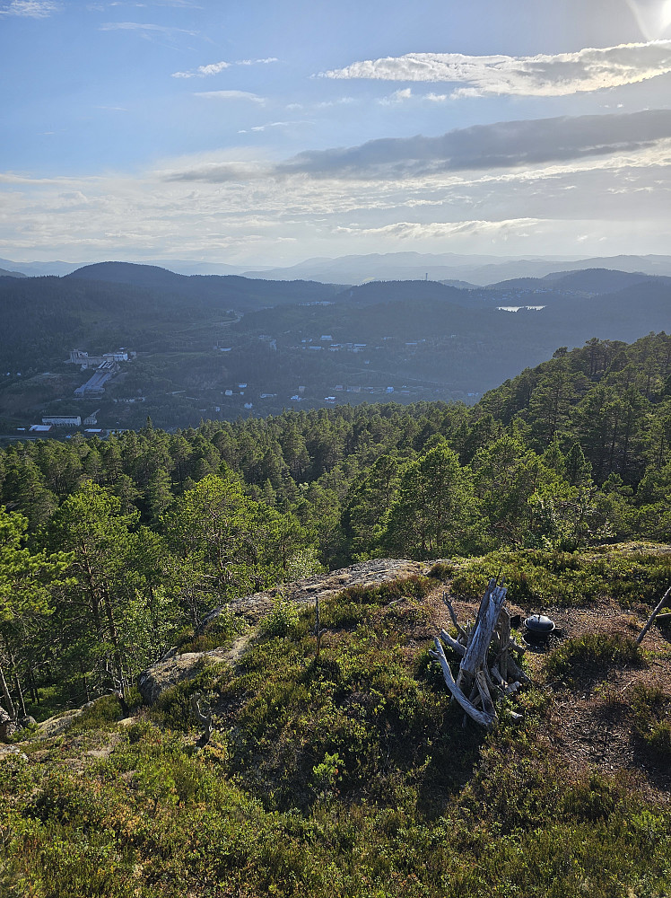 Bjørnli med Høgåsen til venstre
