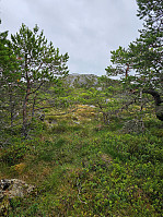 Gabrielsen68_20240726_66a39639b535d.jpg