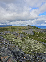 Gabrielsen68_20240726_66a396d92283e.jpg