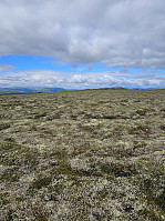 Gabrielsen68_20240726_66a396e21f4c2.jpg