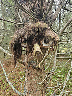 Gabrielsen68_20240726_66a3993bb7c25.jpg