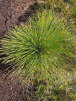 Gabrielsen68_20240726_66a399c50b1dc.jpg