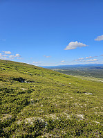 Gabrielsen68_20240726_66a39b8fef332.jpg