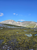 Gabrielsen68_20240726_66a3a603a676e.jpg