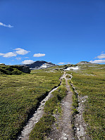 Gabrielsen68_20240726_66a3a6056fa8d.jpg