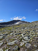 Gabrielsen68_20240726_66a3a60770dac.jpg