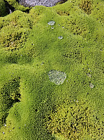 Gabrielsen68_20240726_66a3a6098a8f0.jpg