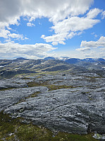 Gabrielsen68_20240726_66a3a615127f3.jpg