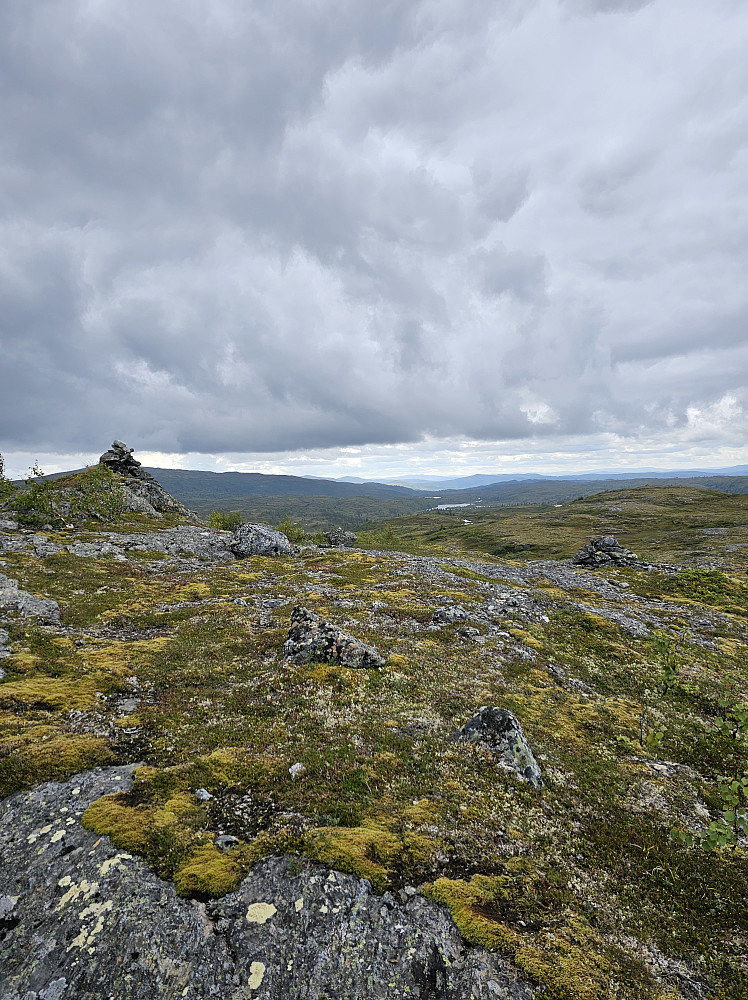 Toppen i sikte. 