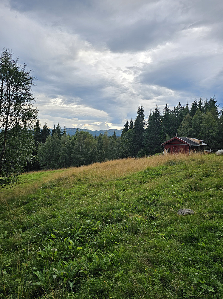 Litlbuan
