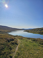 Gabrielsen68_20241014_670ce1fdd8baf.jpg