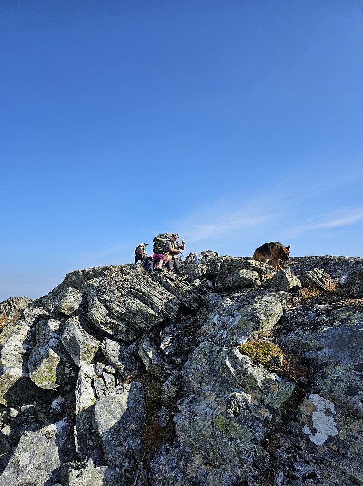 Trollhøtta