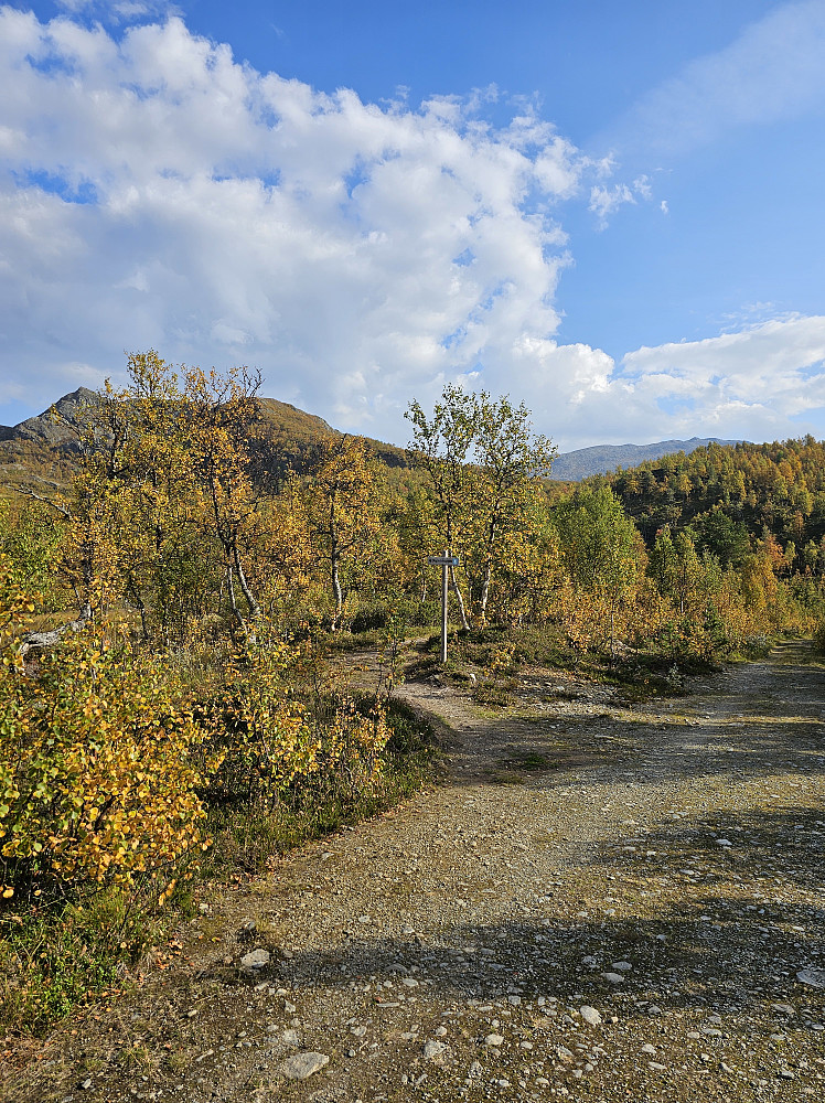 Fine høstfarger