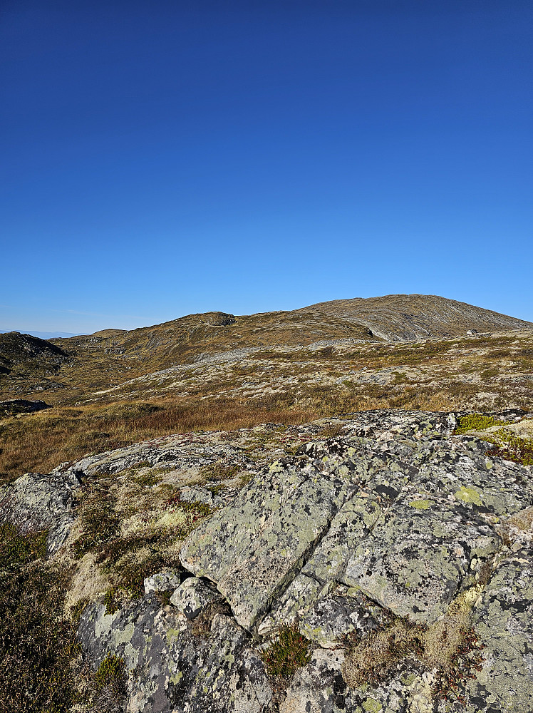 Knippelfjellet fra Anderslifjellet