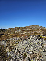 Gabrielsen68_20241014_670cf392d1196.jpg