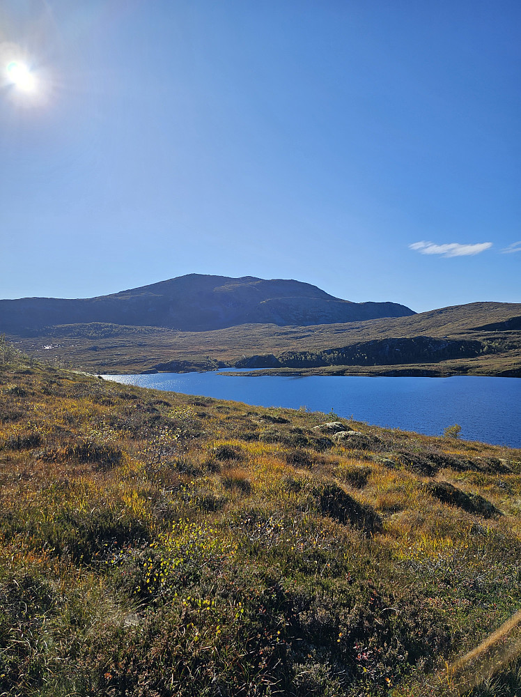 Knippelfjellet fra Middagslivatnet