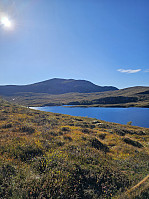 Gabrielsen68_20241014_670cf3a0cacd6.jpg