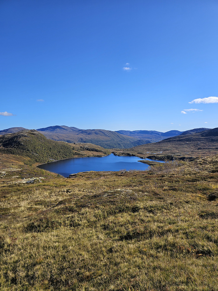 Flya og Middagslivatnet