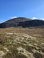 Gabrielsen68_20241014_670cf3a7b4454.jpg