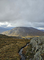 Gabrielsen68_20241014_670cf7bb28292.jpg