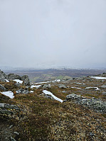 Gabrielsen68_20241014_670cf8de41c5f.jpg