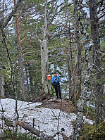 Gabrielsen68_20250120_678df324aa0ad.jpg