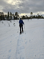Gabrielsen68_20250120_678e0957a8548.jpg