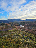 Gabrielsen68_20250120_678e0cac55b88.jpg