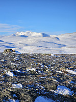Gabrielsen68_20250210_67a9a8fe727fa.jpg