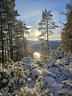 Gabrielsen68_20250210_67a9a9d25fc02.jpg